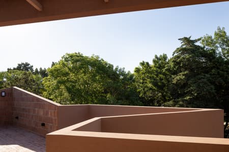 House around the Tree